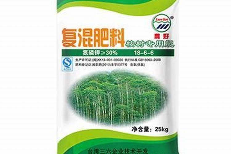 福建生姜怎么种最好