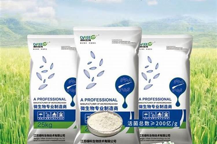 小麦和油菜怎么栽培