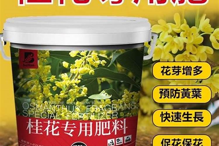 桂花能用三元复合肥吗