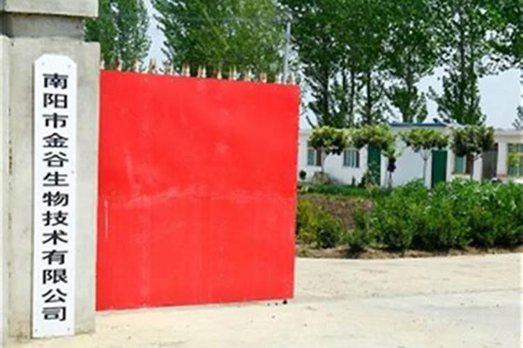 江西赣州有石榴树买吗？