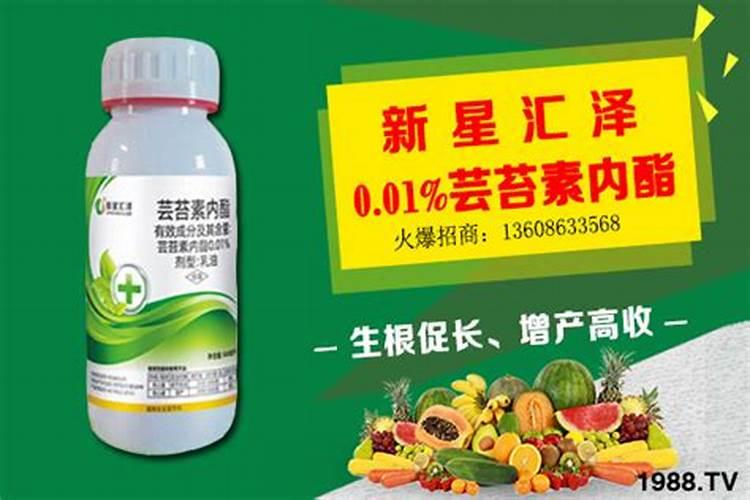 一吨水可以用芸苔素内酯原药多少量在荔枝上少克？