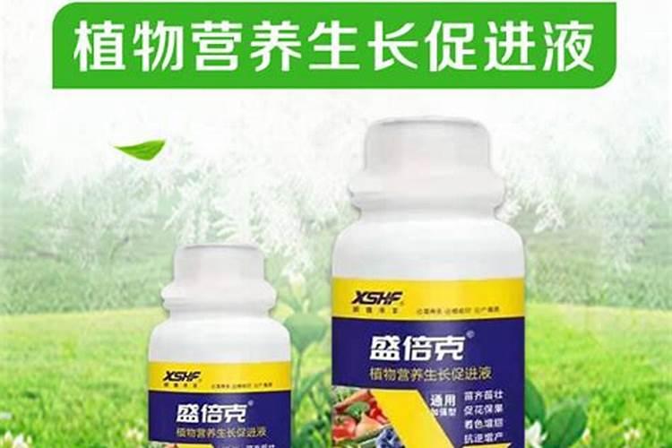 米兰用什么肥料最好