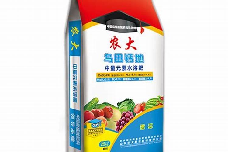 碳水化合物是什么东西