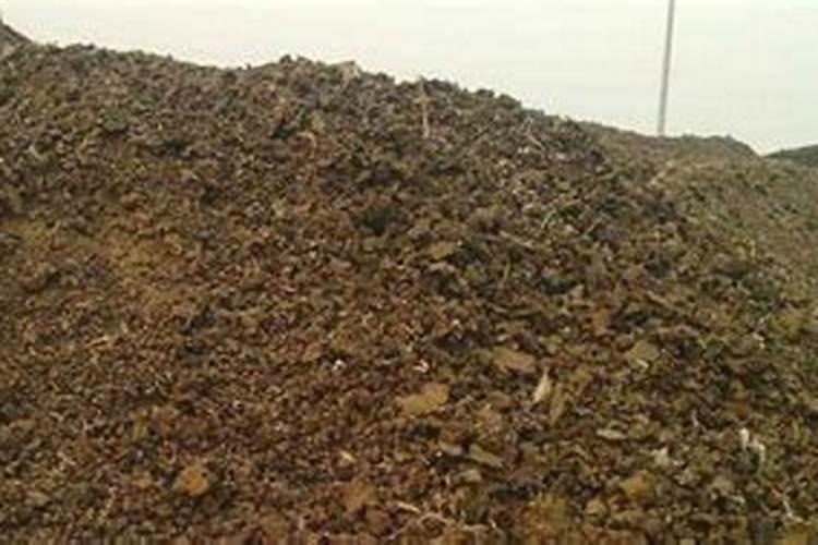 太阳的天气菜放化肥,给菜浇水可以吗