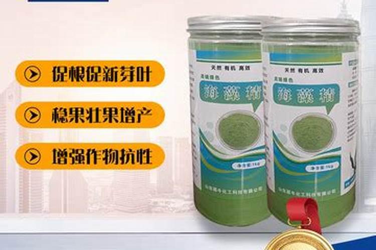 枇杷树施什么肥料最好