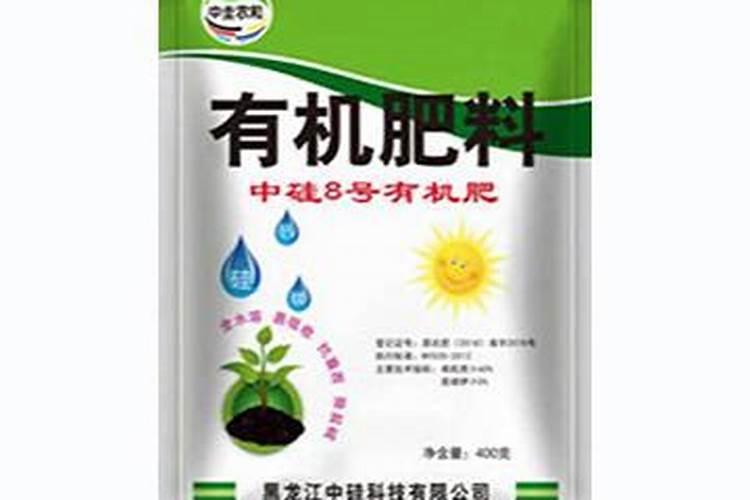 小麦是种在水里还是土里小麦可以种在水田里吗