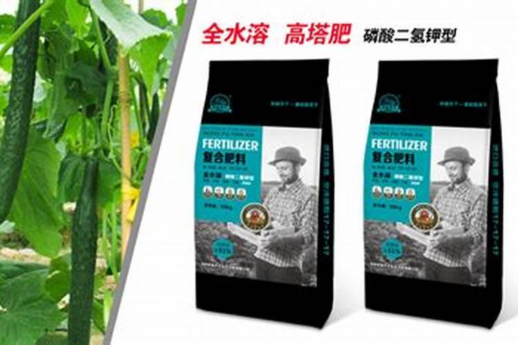 柑橘生长需要哪些肥料(橘子全年科学施肥时期和方案)