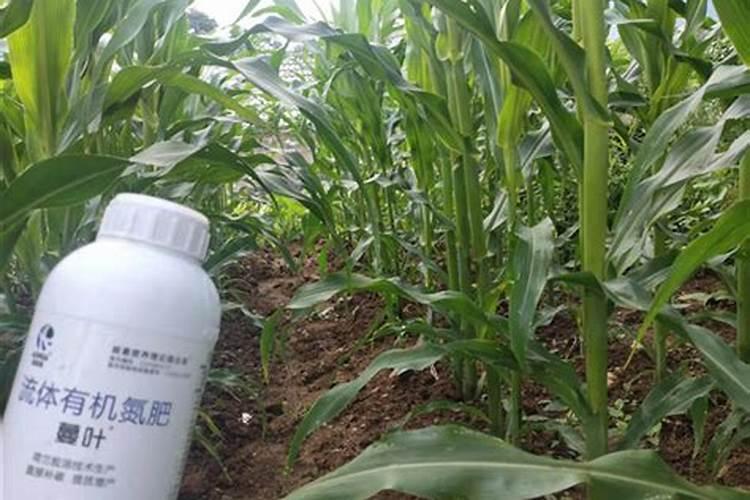 大棚蔬菜种植的温度是多少