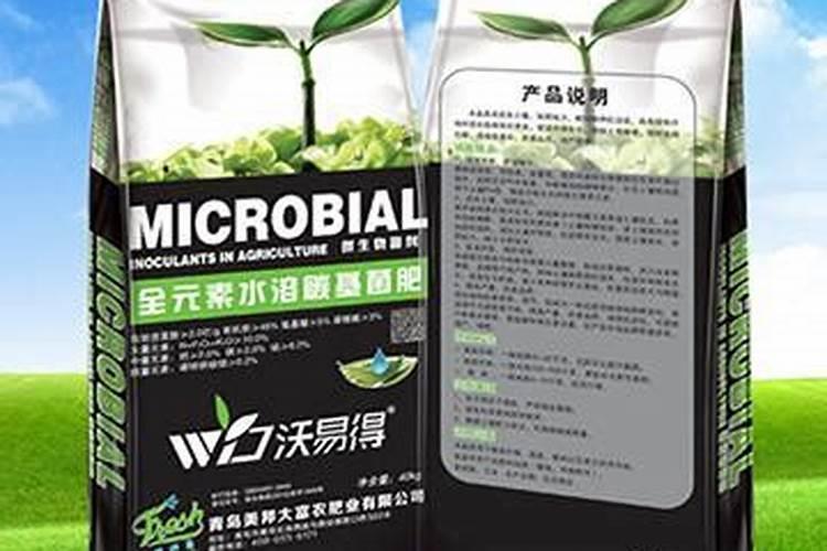 盆栽牡丹如何施肥好