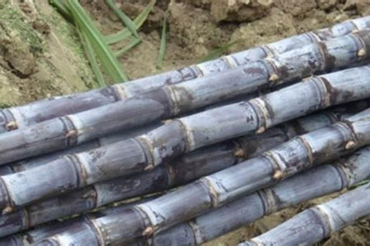 种地多久浇一次水