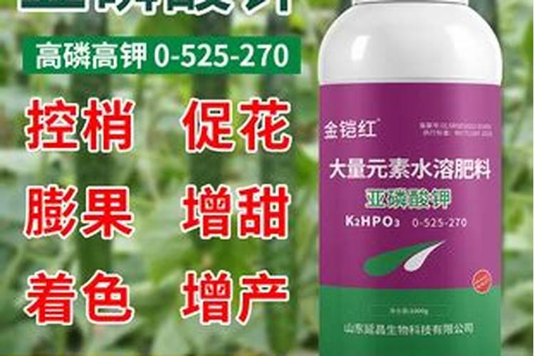 亚磷酸钾控旺什么时候打效果最好？
