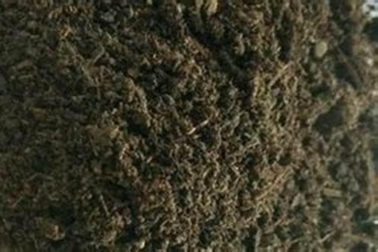 线椒和二荆条区别