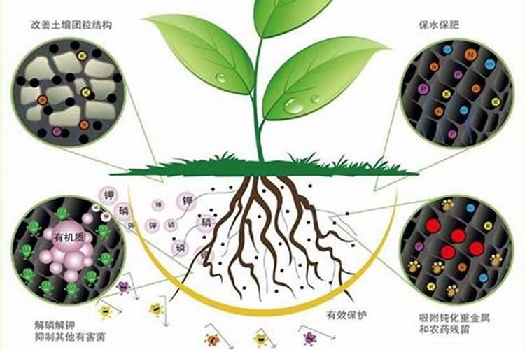 大豆重茬用什么肥