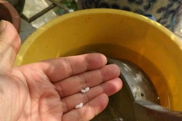 养花用的磷肥有哪些 磷肥在花卉上的作用？