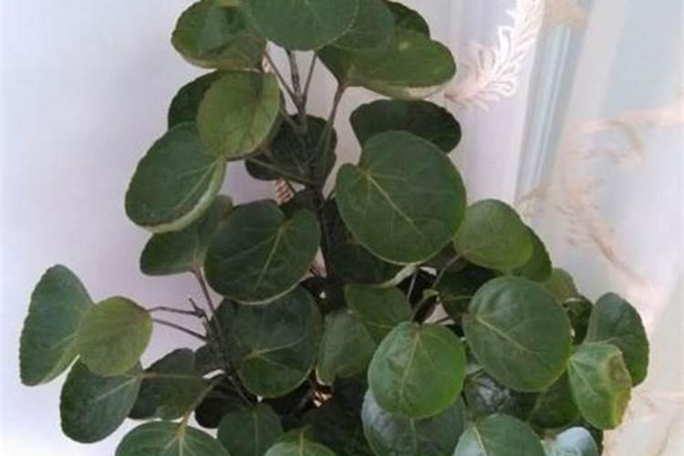 山东万瑞谷德农业科技有限公司怎么样？