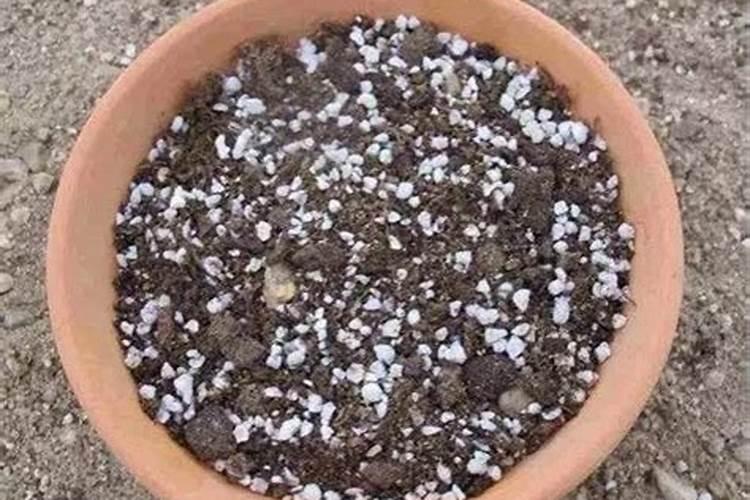 花卉用氮肥多久用一次 花卉需要多久施一次氮肥？