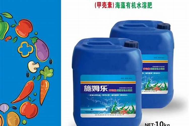 柚子树怎么修剪