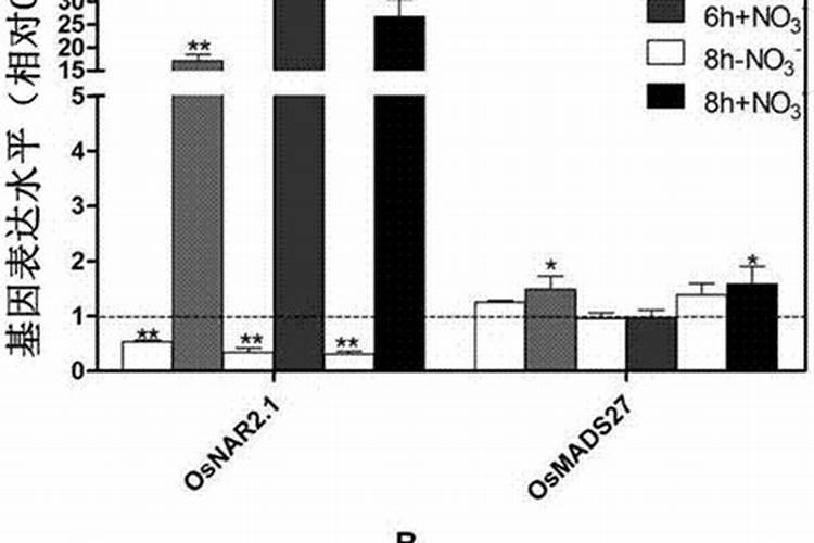 牧草种了要浇水吗