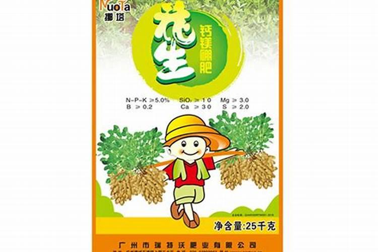 花生开花期怎样施肥