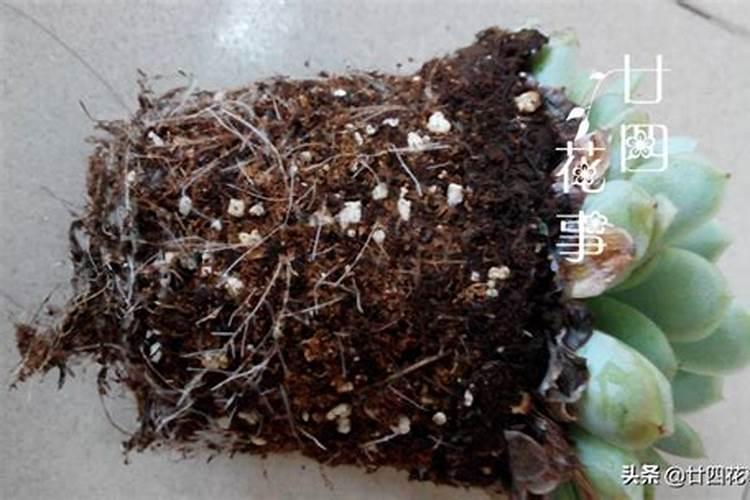 高钾肥料的配方是怎样组成的？