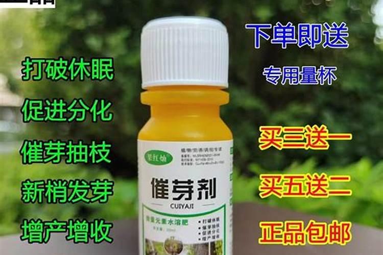 刚发芽的果苗施什么肥料最好