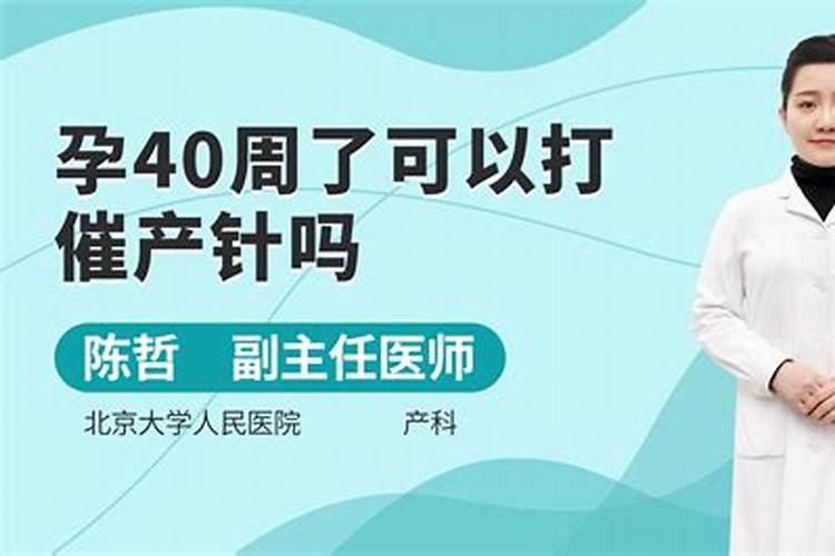 玫瑰施肥用什么肥料让花开得大 详解玫瑰花施肥方案