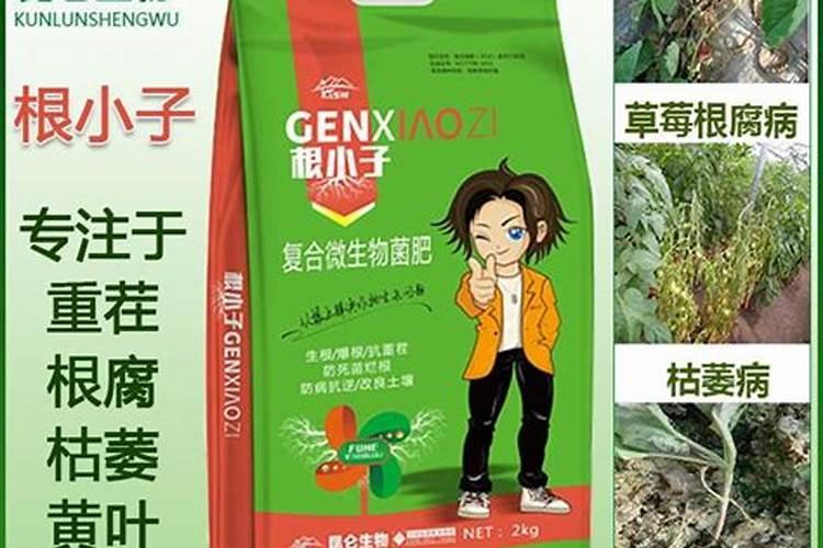 温室蔬菜棚里怎样正确使用水溶肥？