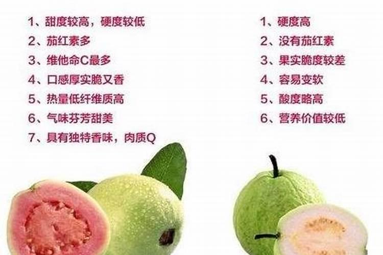 怎么养兔子？
