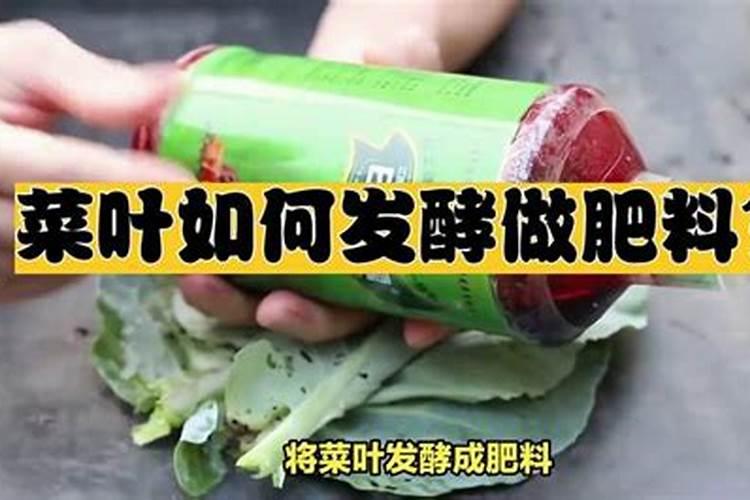 蔬菜叶面肥的使用技术及几种常用的追肥方法