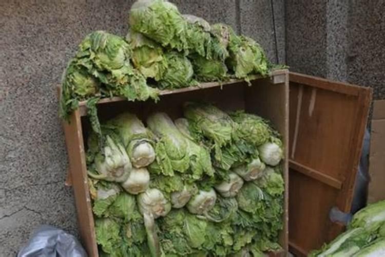 红糖水浇菜的正确方法