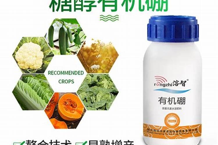 种西瓜最好的肥料是什么？