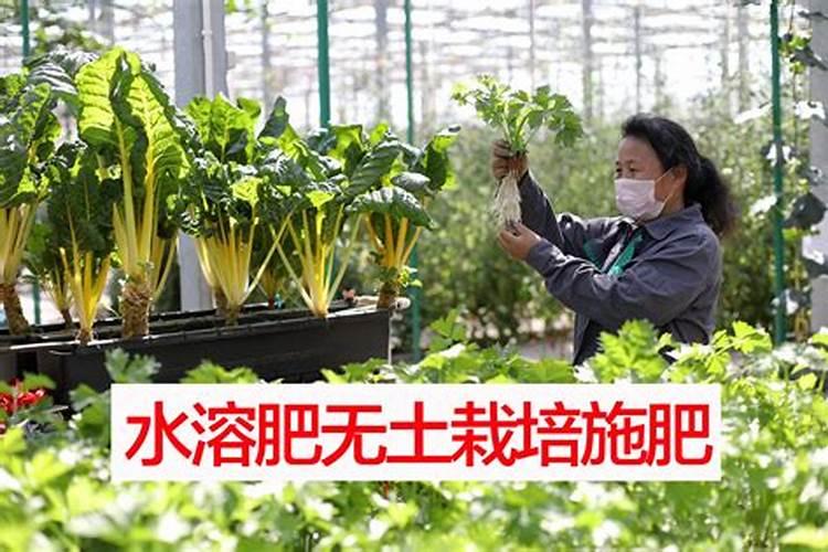 腐植酸钾使用方法