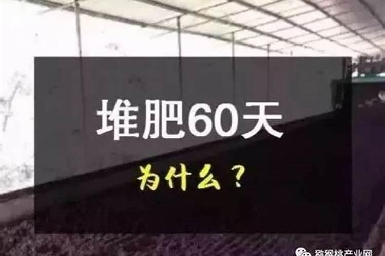 石斛施肥方法和注意事项 铁皮石斛施肥技术及其注意事项