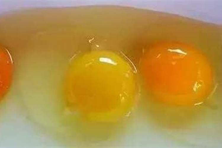 烂苹果怎么做花的肥料烂苹果如何做花的肥料