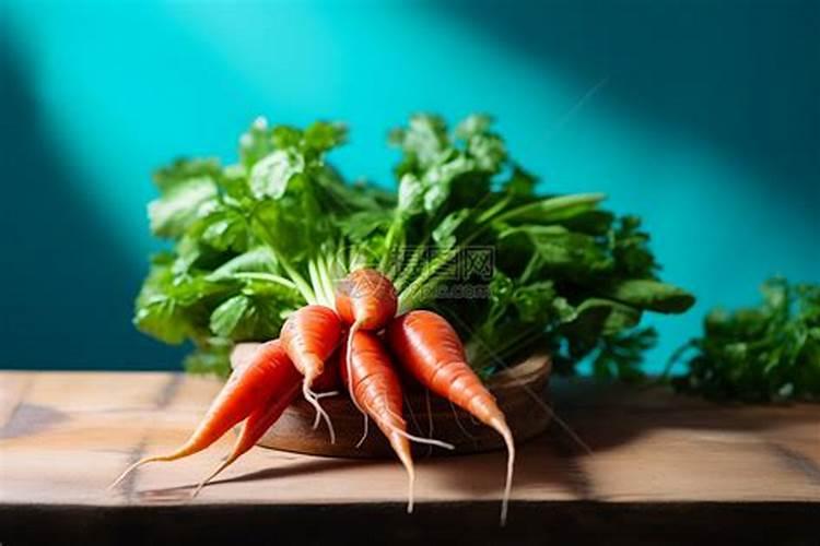 盆栽橘子(盆栽橘子树什么时候开花结果)