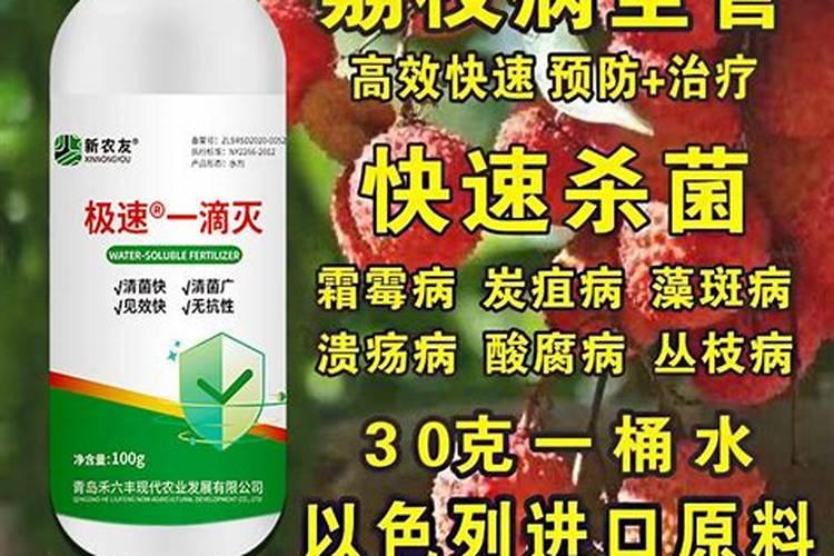 荔枝梢期可以喷氨基酸叶面肥吗