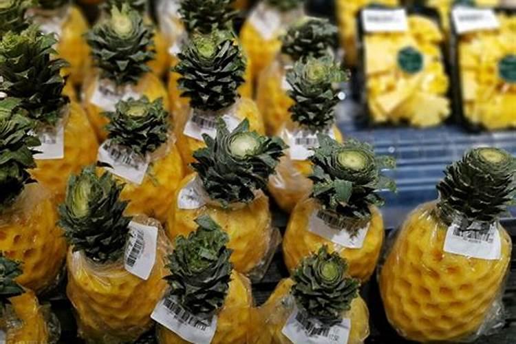 一天20吨生活污水处理设施