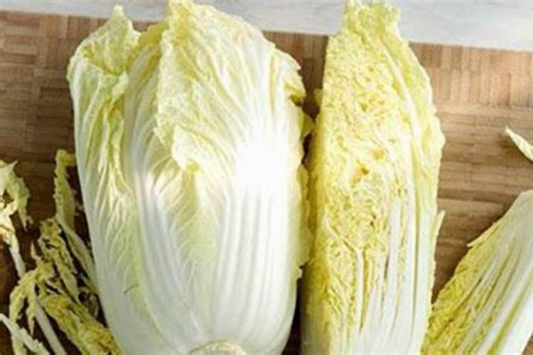 种的白菜不包心怎么办