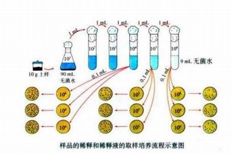 什么叶子有什么用处？