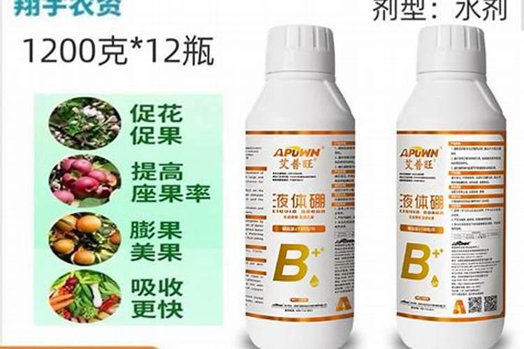 芸豆烂根病害防治