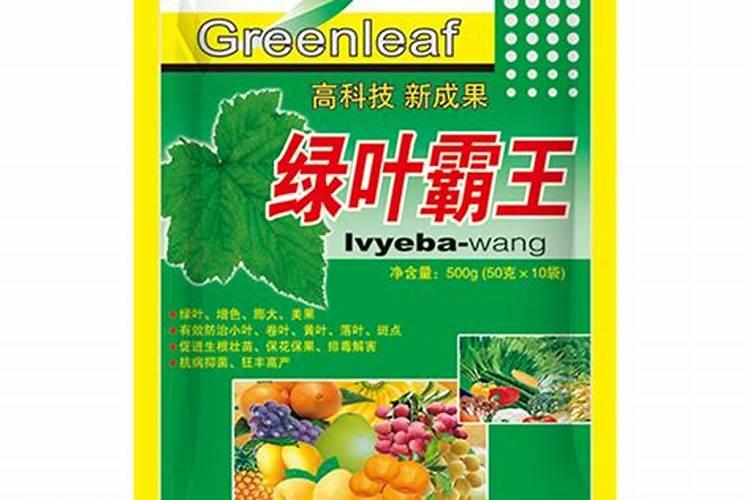 花盆里养的一帆风顺用螺旋藻行吗