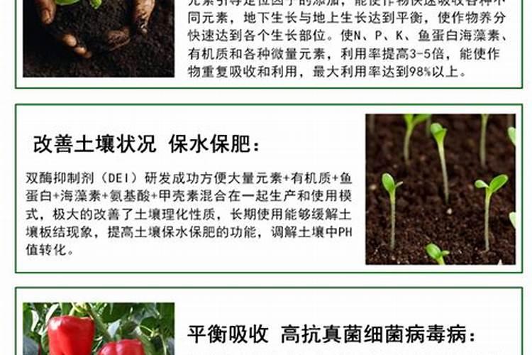草莓苗期如何施肥以及时间 草莓苗期施肥时间和方法