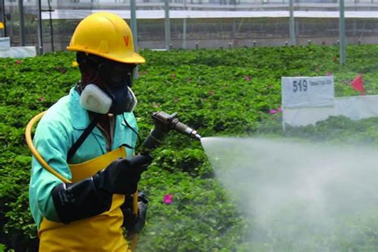 硼肥能和磷酸二氢钾混用喷施吗？