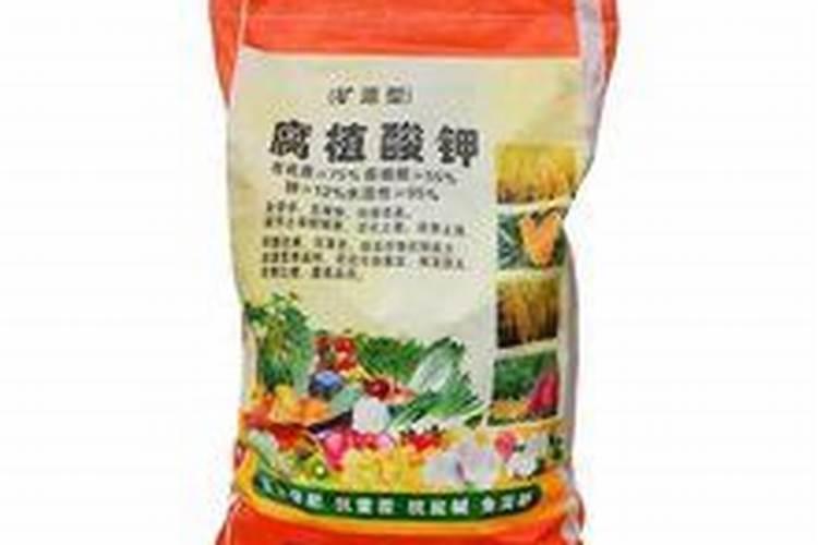 兰草换土时间和方法