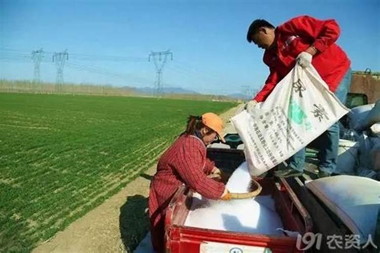 硅酸钾在农业上的用途