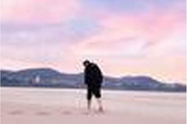 【阳台种菜】如何轻松自制叶菜有机水肥