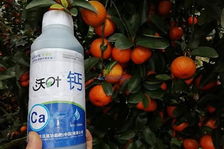 磷肥最高含磷量是多少