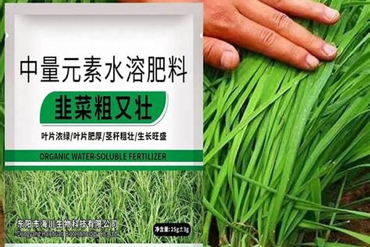 榉树为啥成活率低和土质有关吗