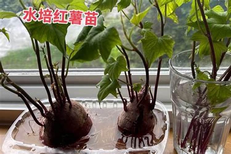 全国有哪些磷肥厂？ 知道的帮帮忙