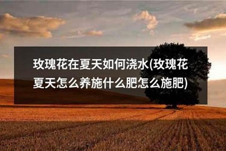 小麦在小满期间能不能使用叶面肥